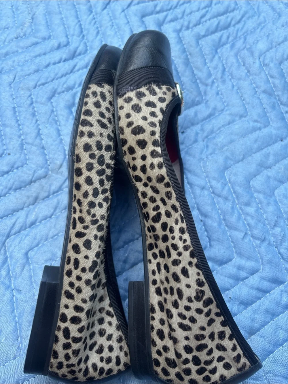 Brighton Leopard-Print Ballet Flats with Black Cap Toe